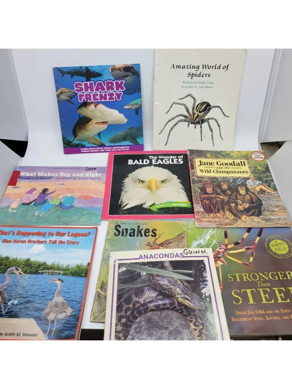 Children's Non-Fiction Book Lot - Nature, Spiders, Snakes - BK217